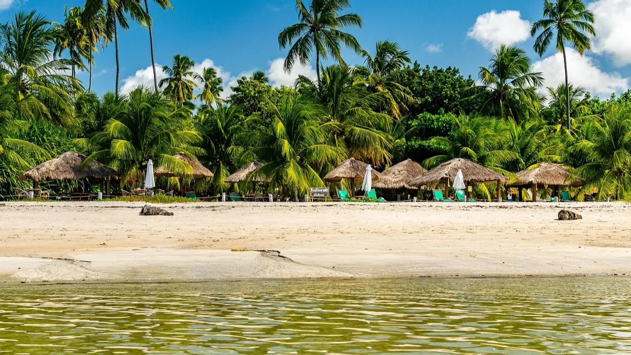 Piscinas naturais em Maragogi com águas transparentes e jangadas coloridas